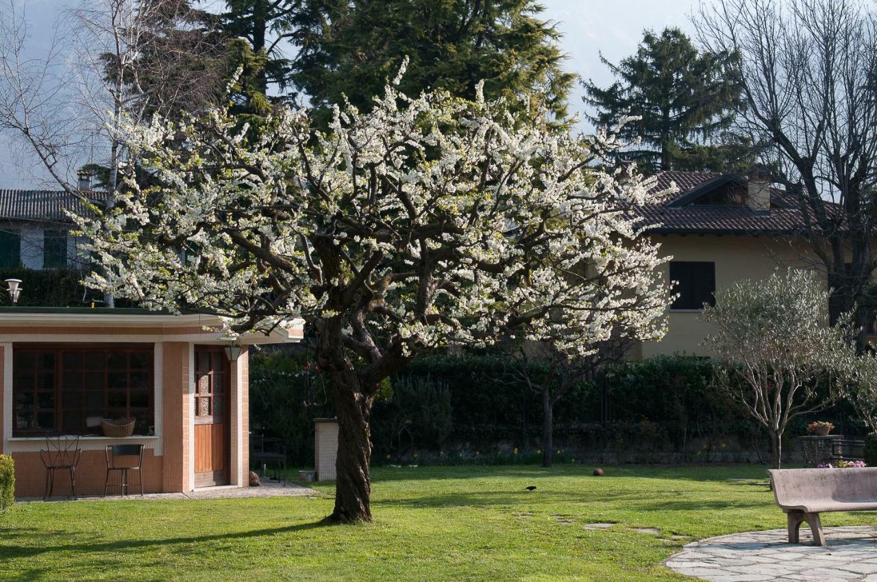 Casetta Del Molo Mandello del Lario Εξωτερικό φωτογραφία